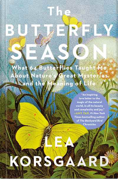 Book cover for The Butterfly Season by Lea Korsgaard