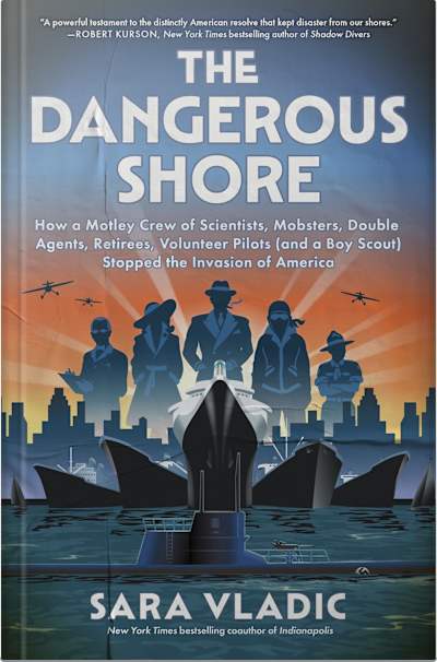 Book cover for The Dangerous Shore by Sara Vladic