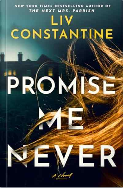 Book cover for Promise Me Never by Liv Constantine