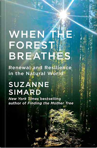 Book cover for When the Forest Breathes by Suzanne Simard