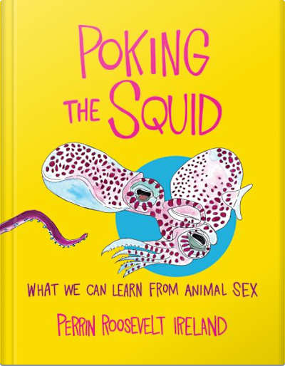 Book cover for Poking the Squid by Perrin Roosevelt Ireland