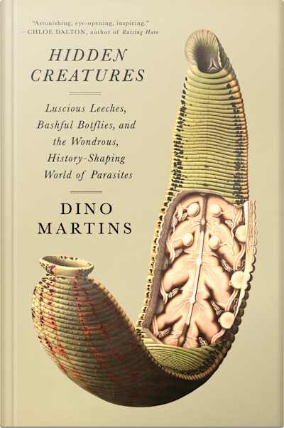 Book cover for Hidden Creatures by Dino Martins