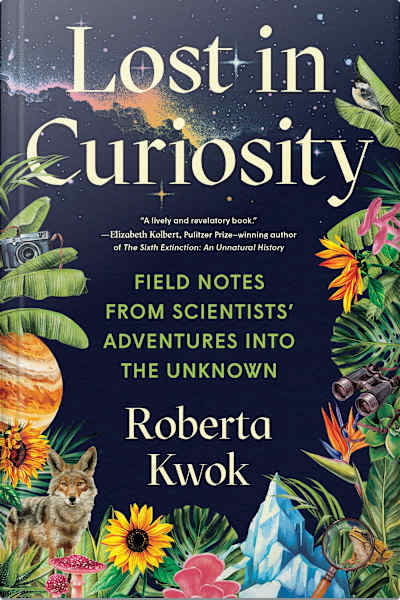 Book cover for Lost in Curiosity by Roberta Kwok