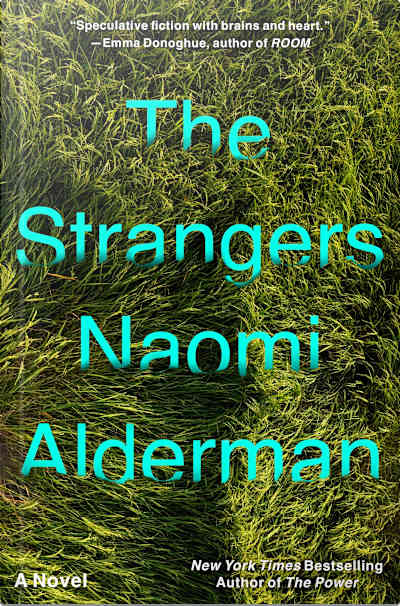 Book cover for The Strangers by Naomi Alderman