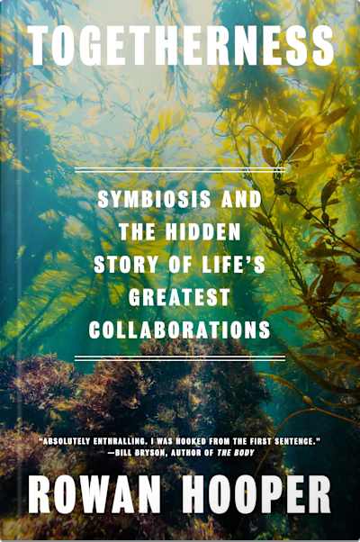 Book cover for Togetherness by Rowan Hooper