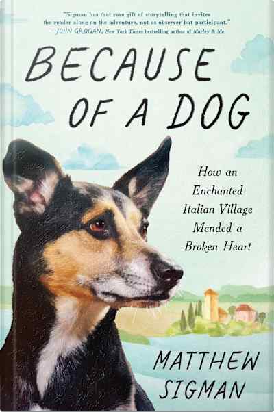 Book cover for Because of a Dog by Matthew Sigman