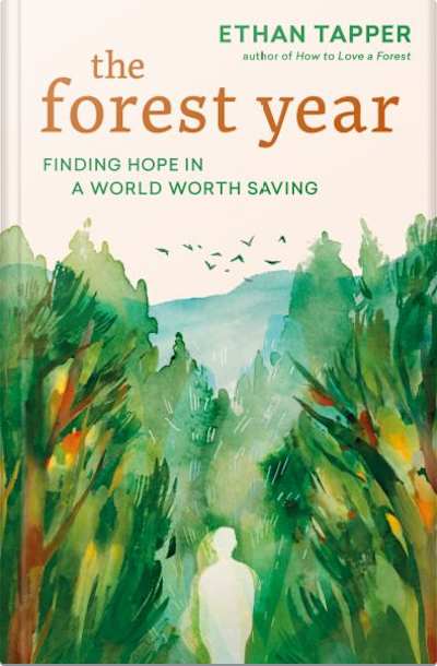 Book cover for The Forest Year by Ethan Tapper