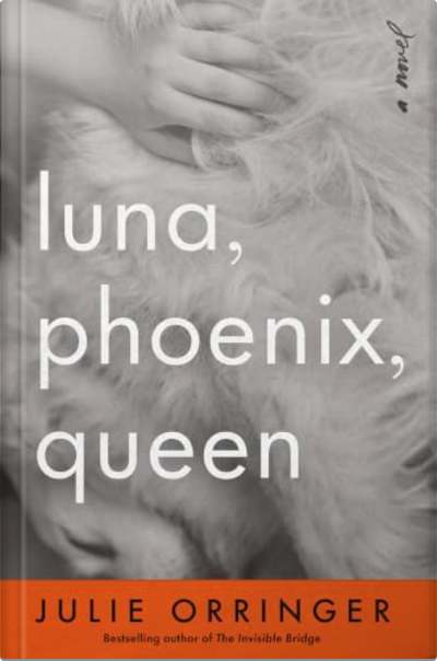 Book cover for Luna, Phoenix, Queen by Julie Orringer