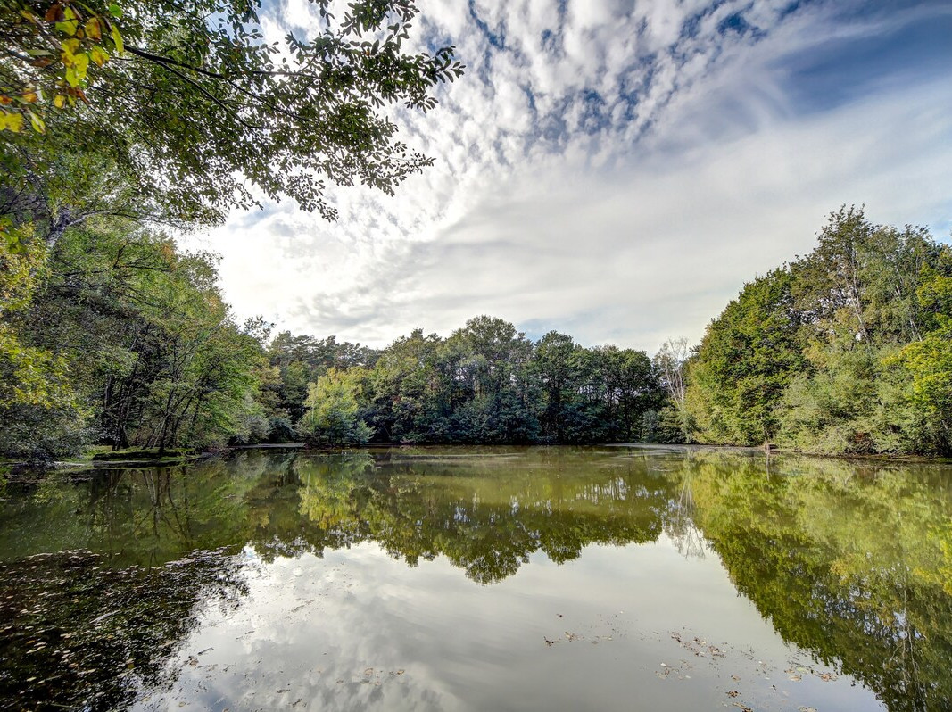 Montereau - Photo 31