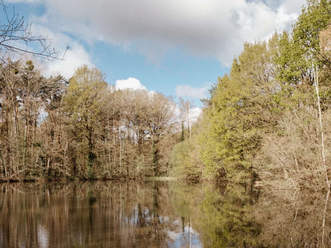  Montereau - Photo 44