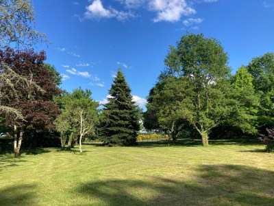 Harmony Homes | Montereau - Photo 30