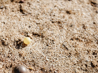 Harmony Homes | Montereau - Photo 40