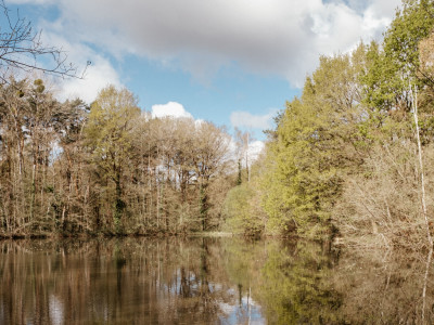 Harmony Homes | Montereau - Photo 45