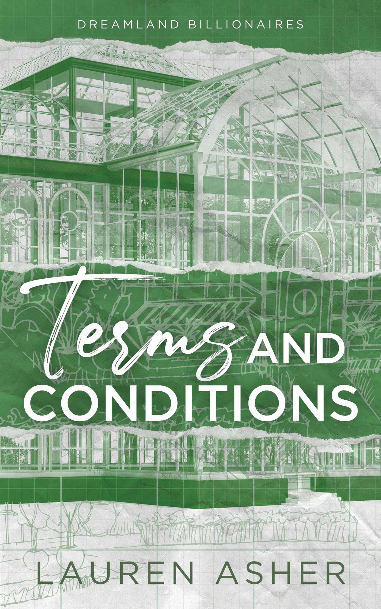 Terms and Conditions (Dreamland Billionaires, #2)