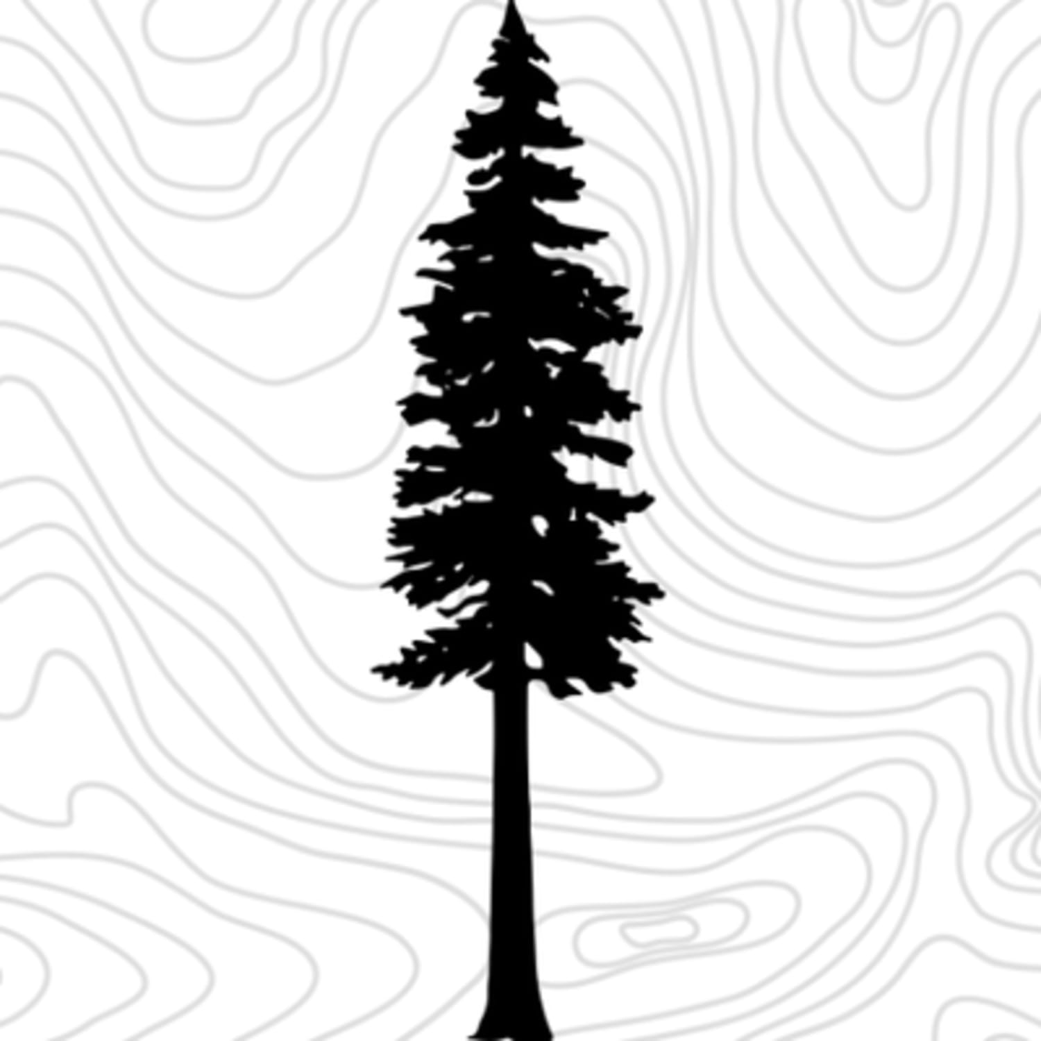 100 Best Adventure Books