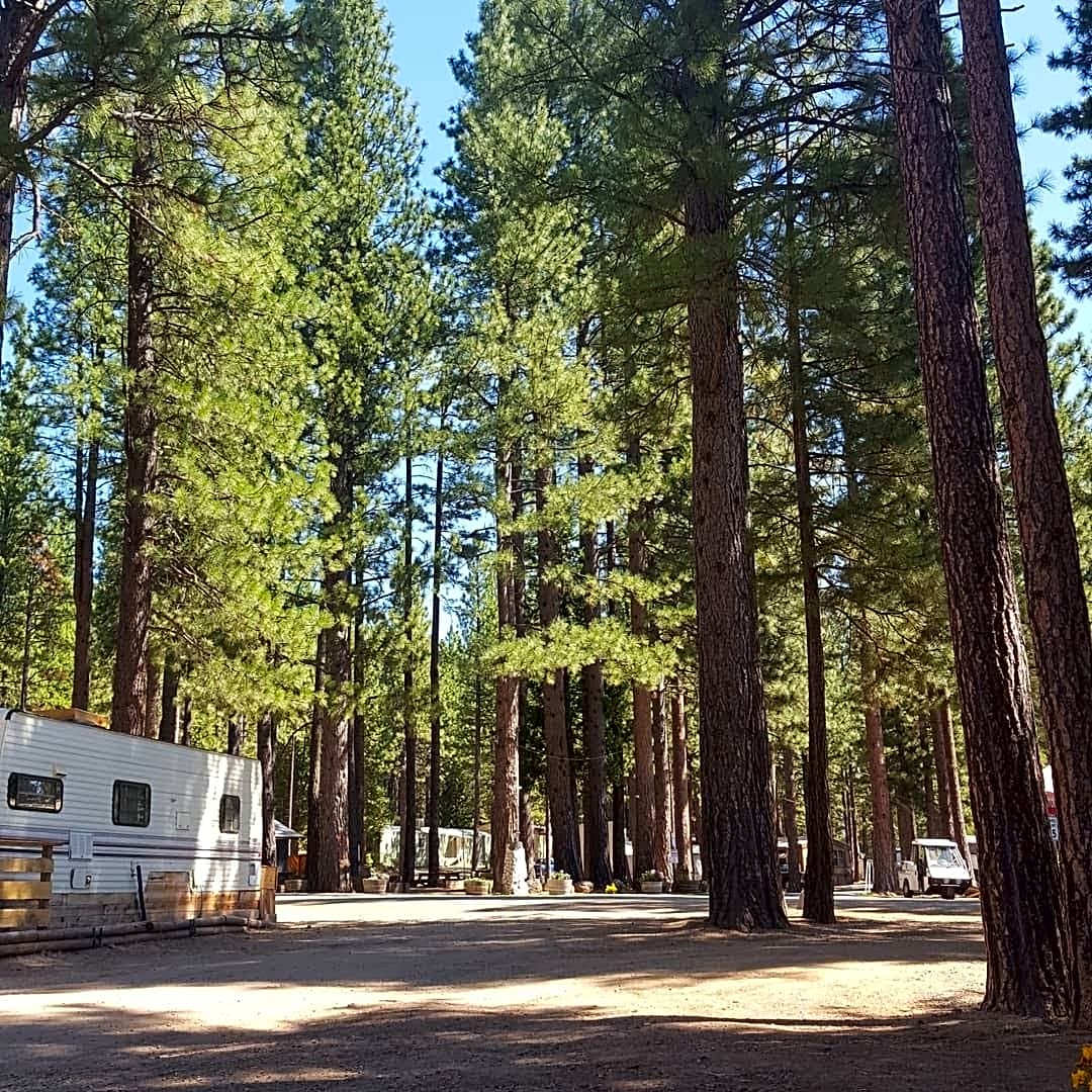 Dream Catcher Campground & Lodge in Graeagle, CA No Booking Fees