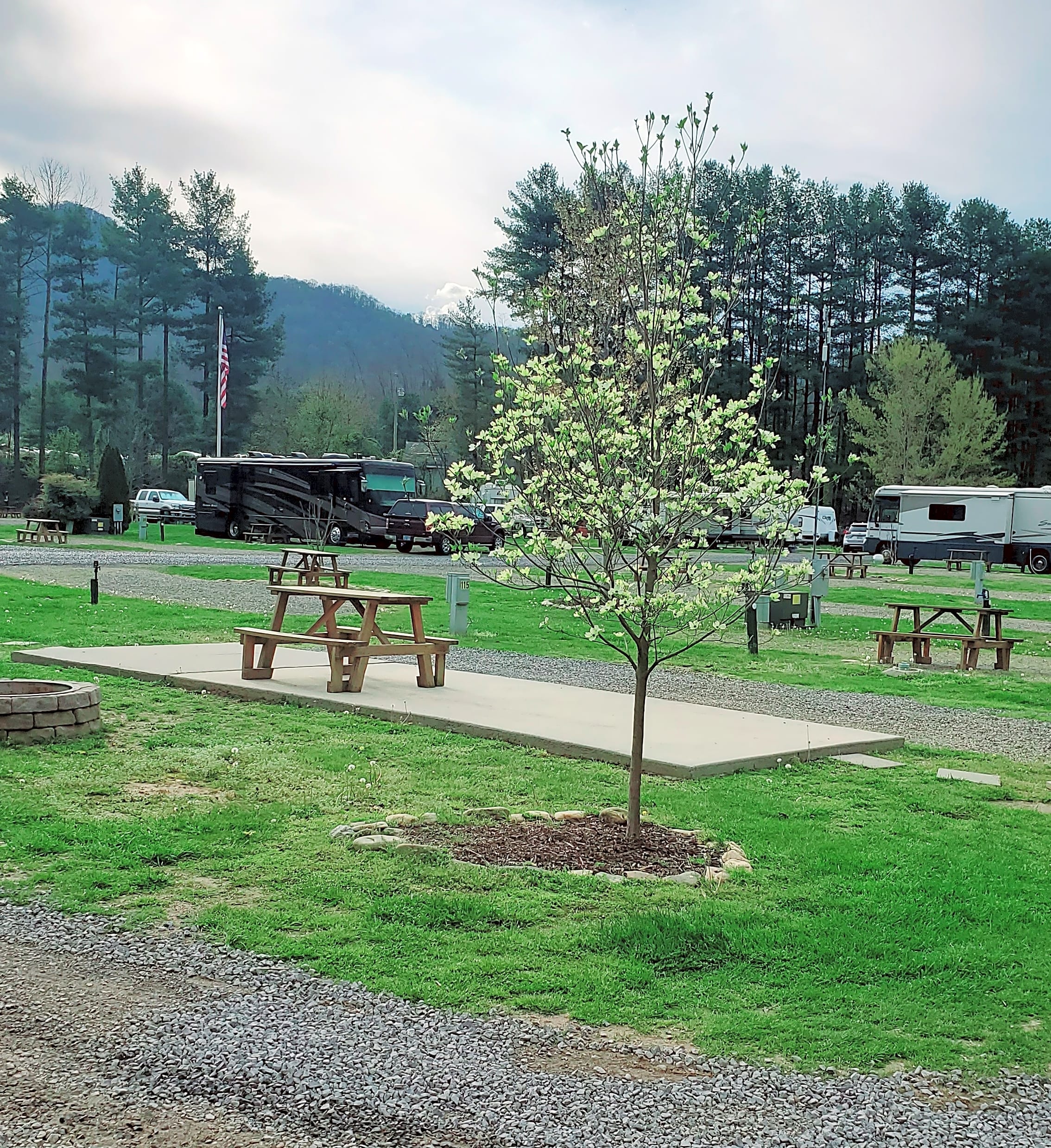 Creekwood Farm RV Park in Waynesville, NC No Booking Fees