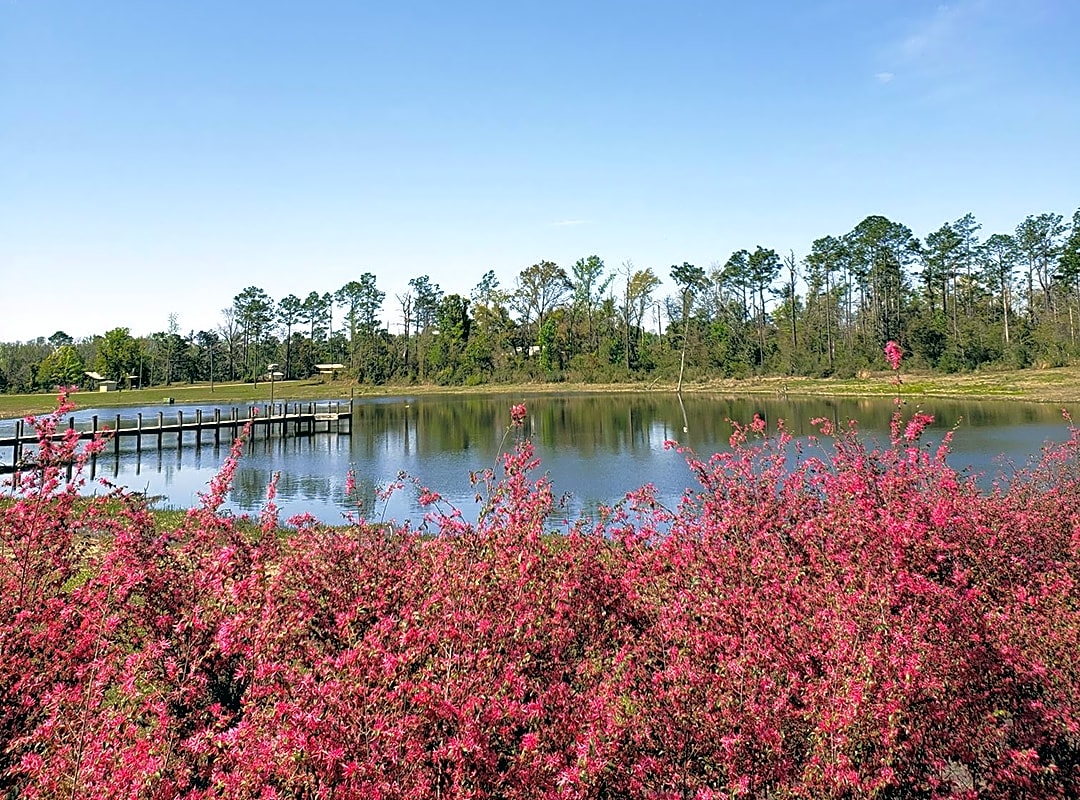 Dead Lakes RV Campground in Wewahitchka, FL No Booking Fees