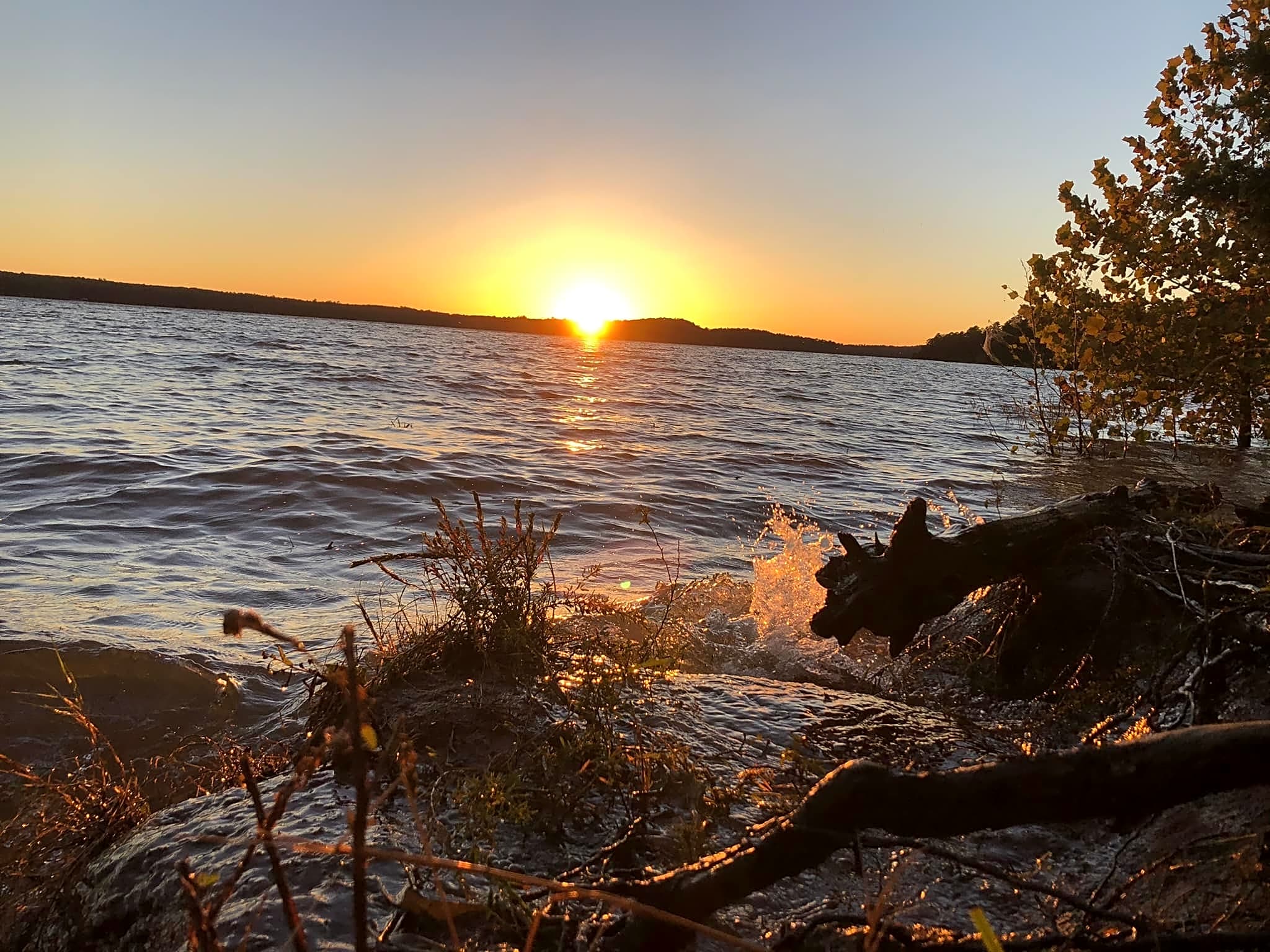 Hester's Bottoms Campground in Mount Carmel, SC No Booking Fees