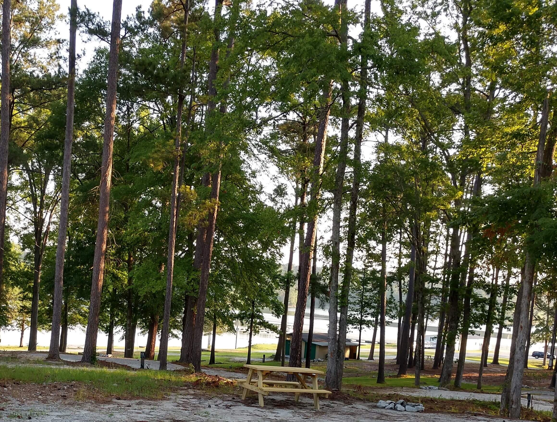 Soap Creek Marina And Resort in Lincolnton, GA No Booking Fees