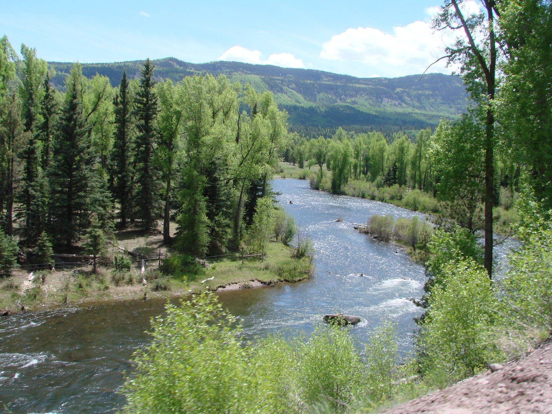 Conejos River Campground in Antonito, CO Book Your Stay