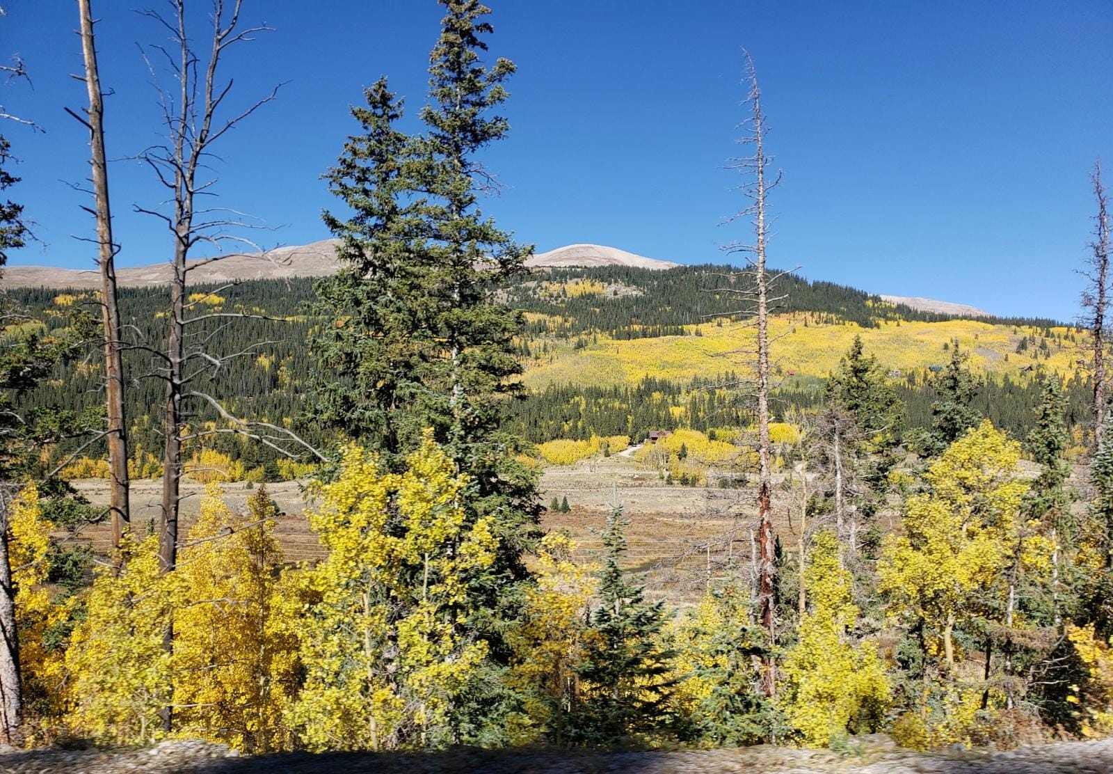 Lake Cabins & RV Park in Lake CO Book Your Stay