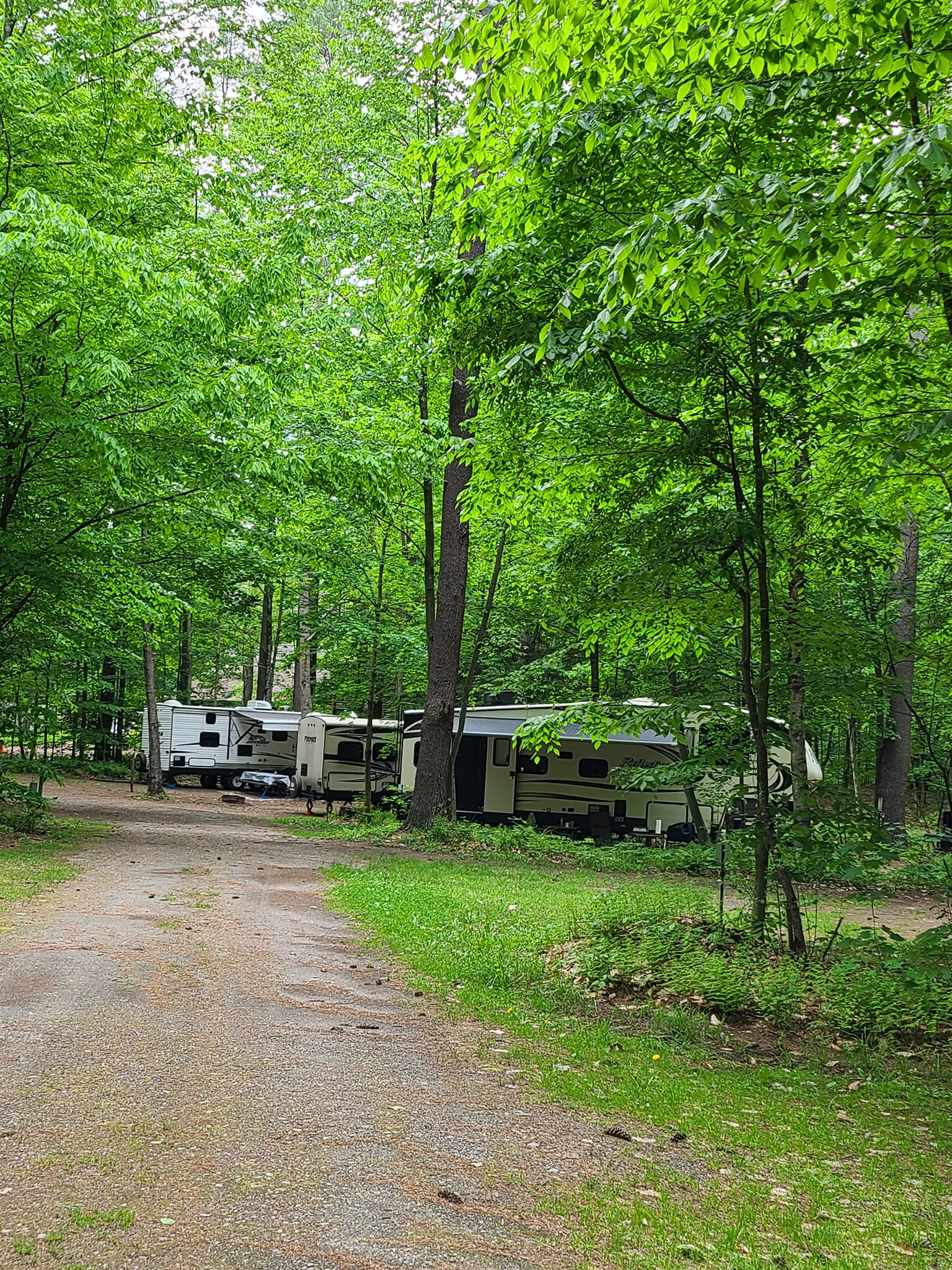 Book now at Tree Farm Campground in Springfield, VT