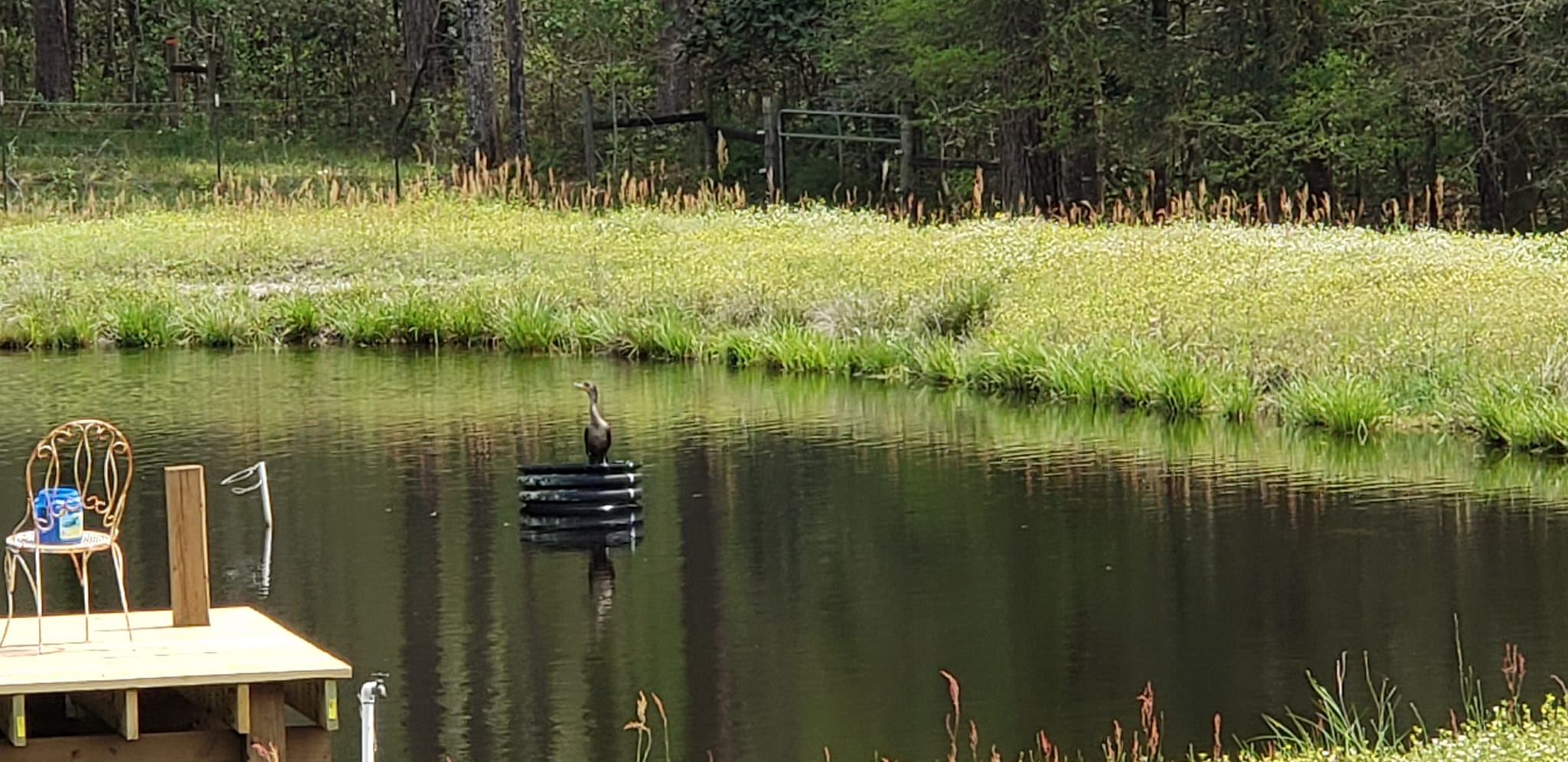 Kelly Creek RV Park & Persimmon Farm in Midland City, AL Book Your Stay