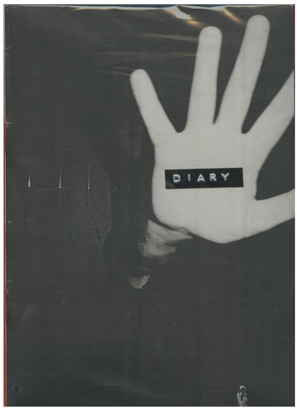 Diary - © 1991 Books