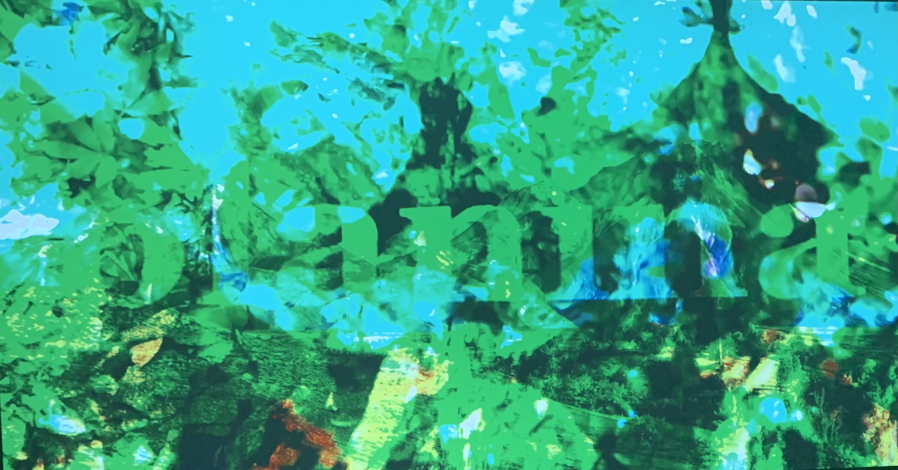 Audio knjiga "Što sam naučio na planini" na festivalu Krasopis