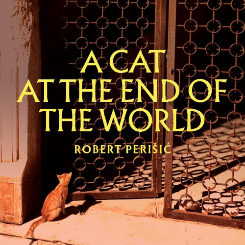 A Cat at the End of the World