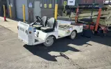 2017 Taylor-Dunn Bigfoot 48V