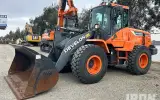 2018 Doosan DL250-5