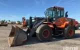 2019 Doosan DL250-5