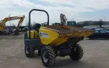2019 Wacker Neuson 3001