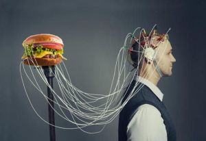el-cerebro-y-la-comida