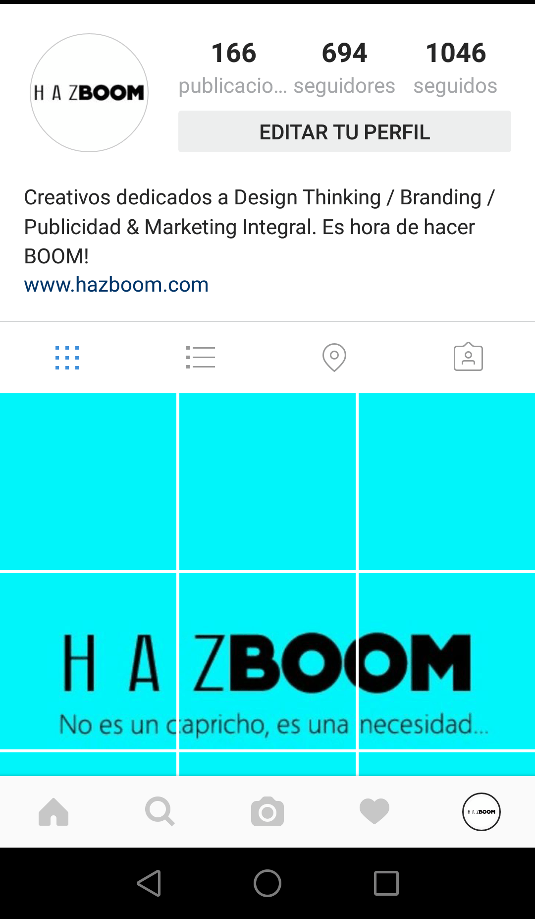 negocios-por-internet, hazboom, diseno-web-valencia, ganar-seguidores-instagram