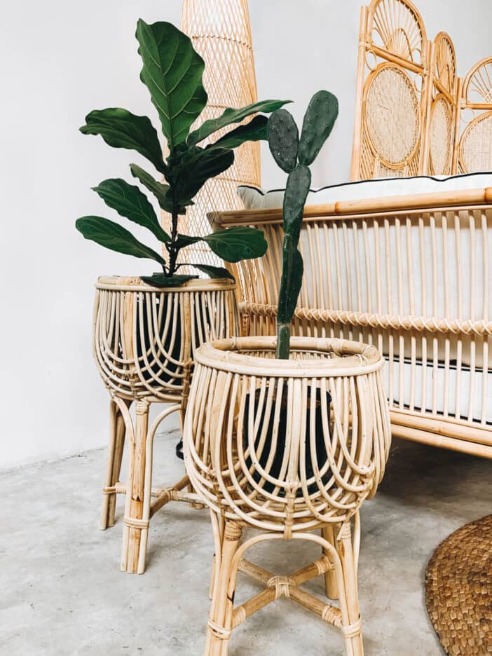 Orchid Rattan Plant Pot / Vase