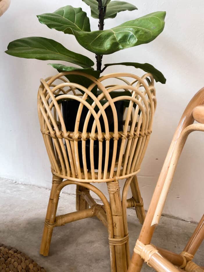 Lily Rattan Plant Pot / Vase