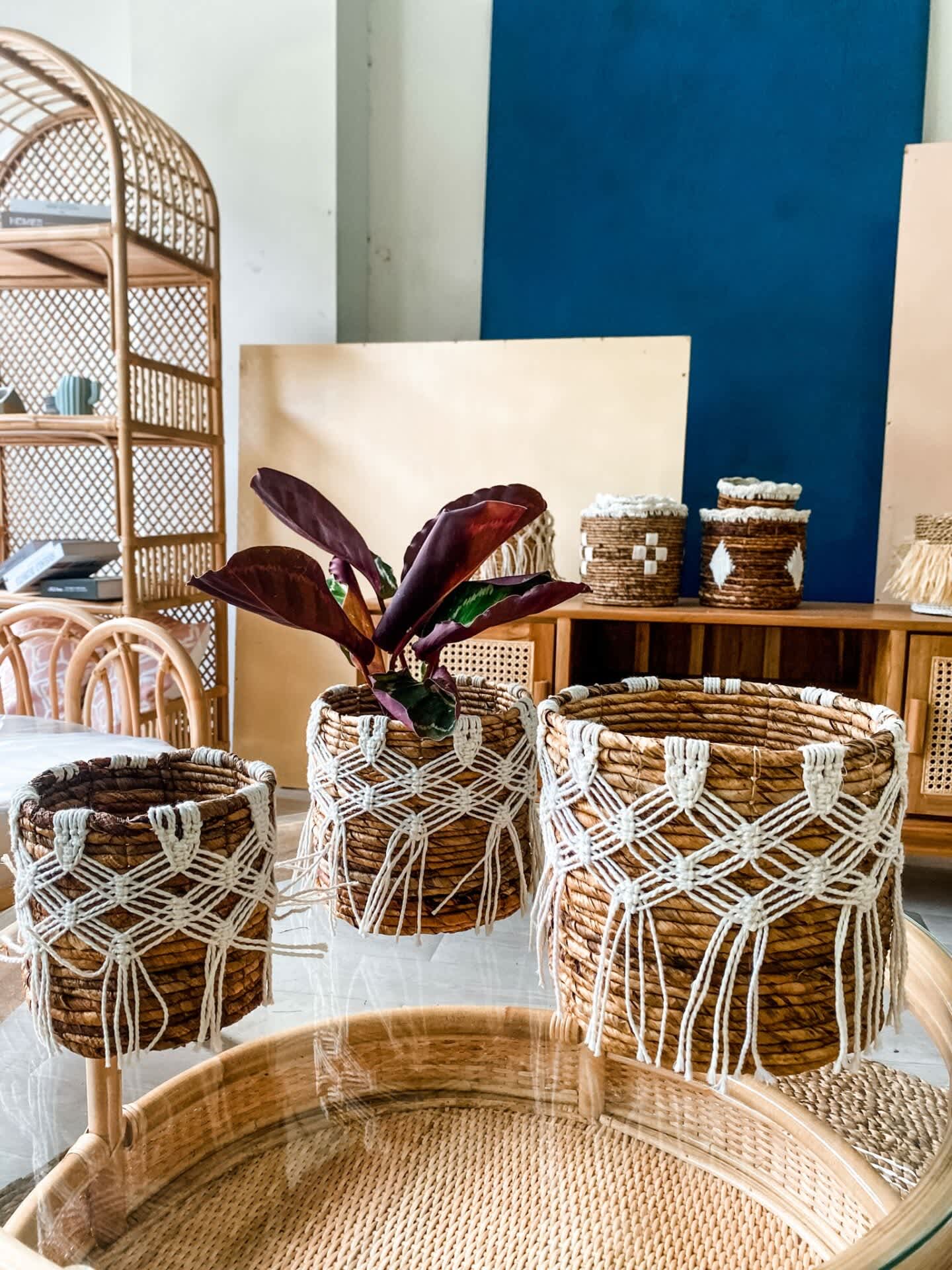 Rattan Plant Pot BP3