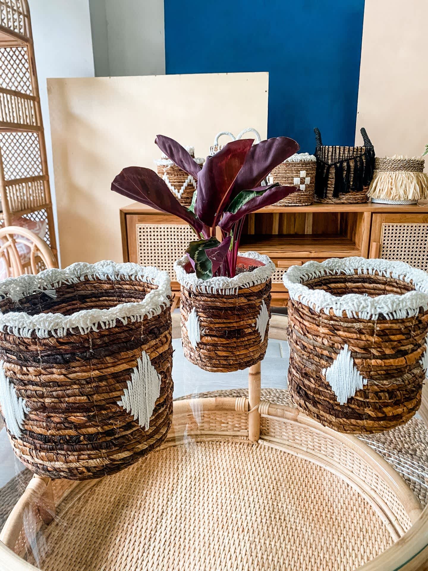 Rattan Plant Pot BP4