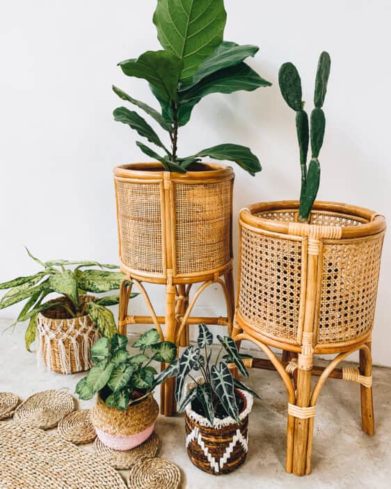 Webbing Rattan Plant Pot / Vase