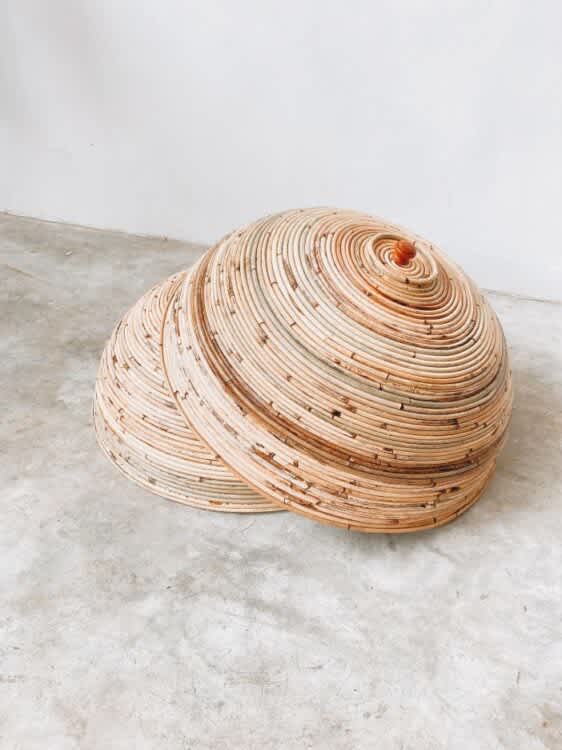 Rattan Food Cover