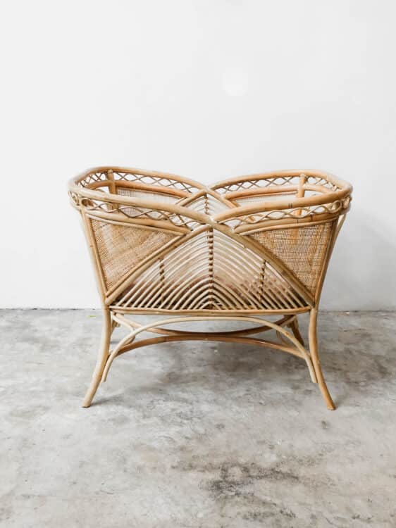 Camity Rattan Bassinet