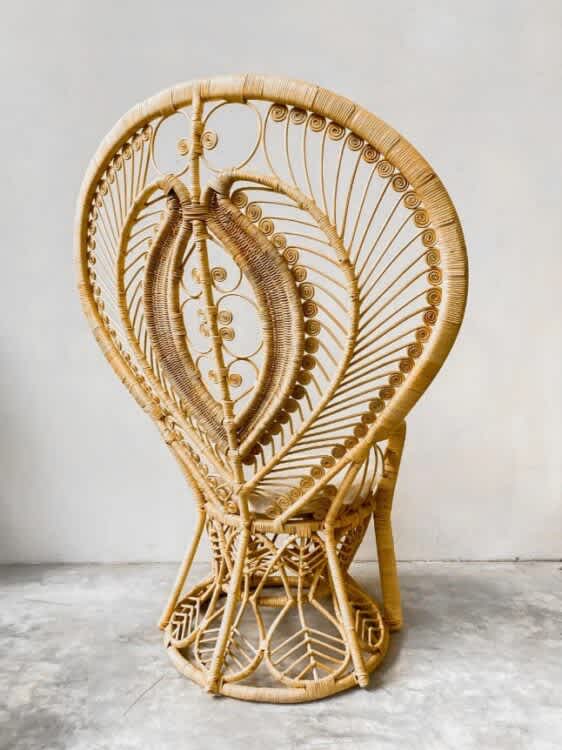 splendid rattan peacock chair 2