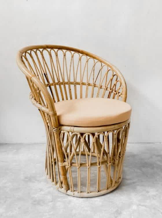 Aalin rattan single chair 2