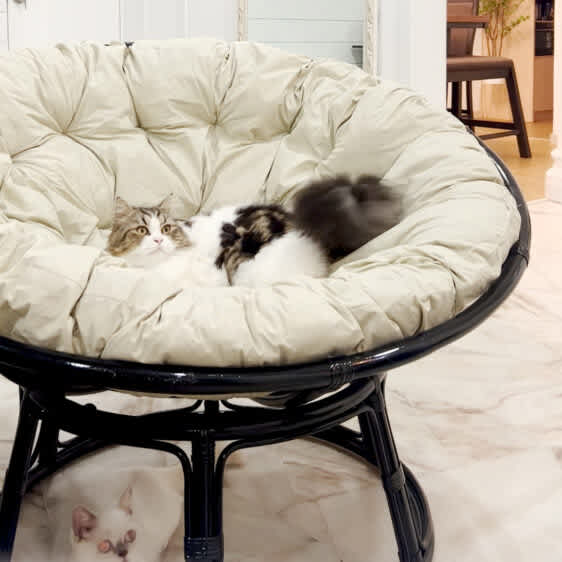 IMG_0904 (0-00-00-11)2