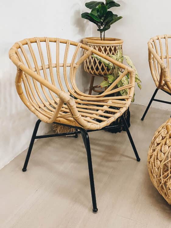 Moss Rattan Single Chair