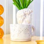 Curated 05 - Mug