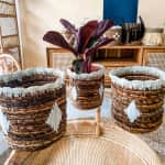 Rattan Plant Pot BP4